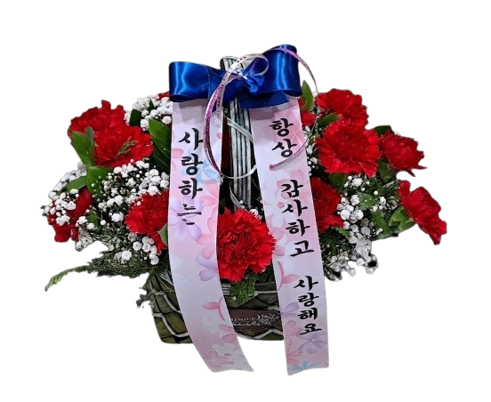 [바구니-80]카네이션 바구니